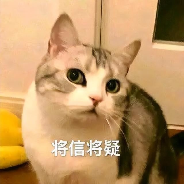 摩托羅拉造了臺1399的“三防機”，把所有網友整不會了