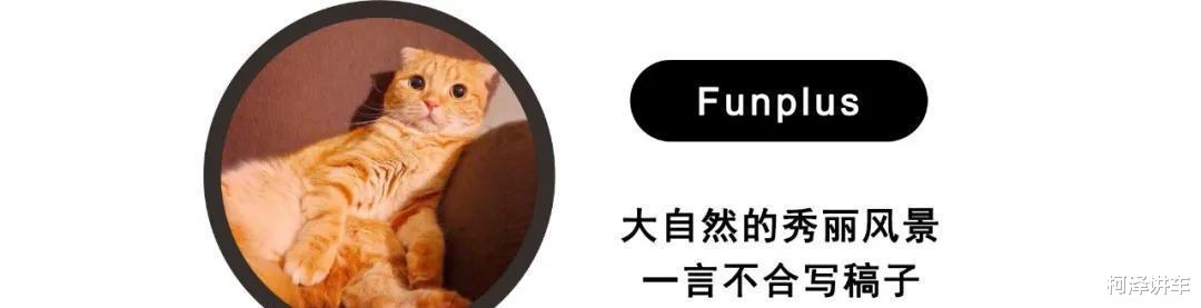 全新BMW5系谍照曝光，运动造型引人注目，豪华内饰细节抢先看