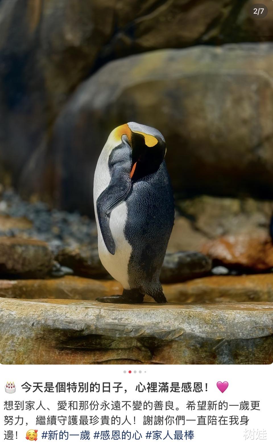 刘銮雄女儿23岁生日，与吕丽君外出庆祝称家人最棒，刘銮雄没来