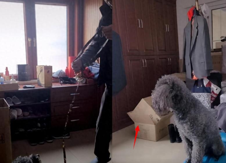 68岁冯巩现状曝光，住100平小房纸箱衣服乱扔，一次性口罩反复用