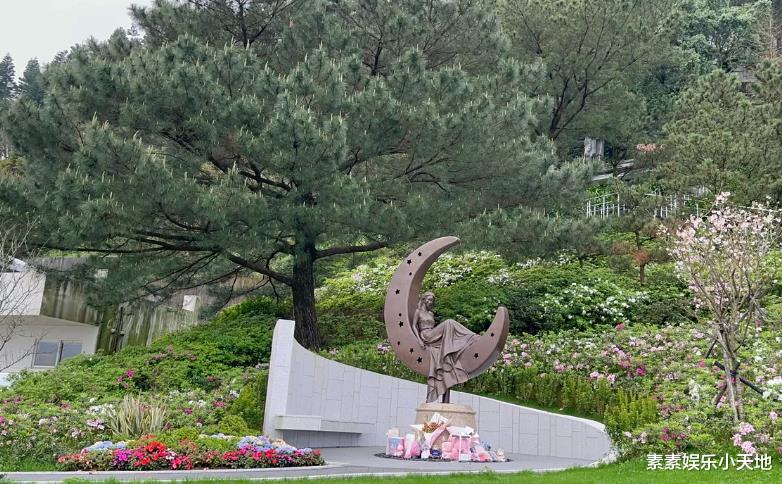 大S墓园雕像位置已确定，大批粉丝提前往金宝山墓园参观悼念