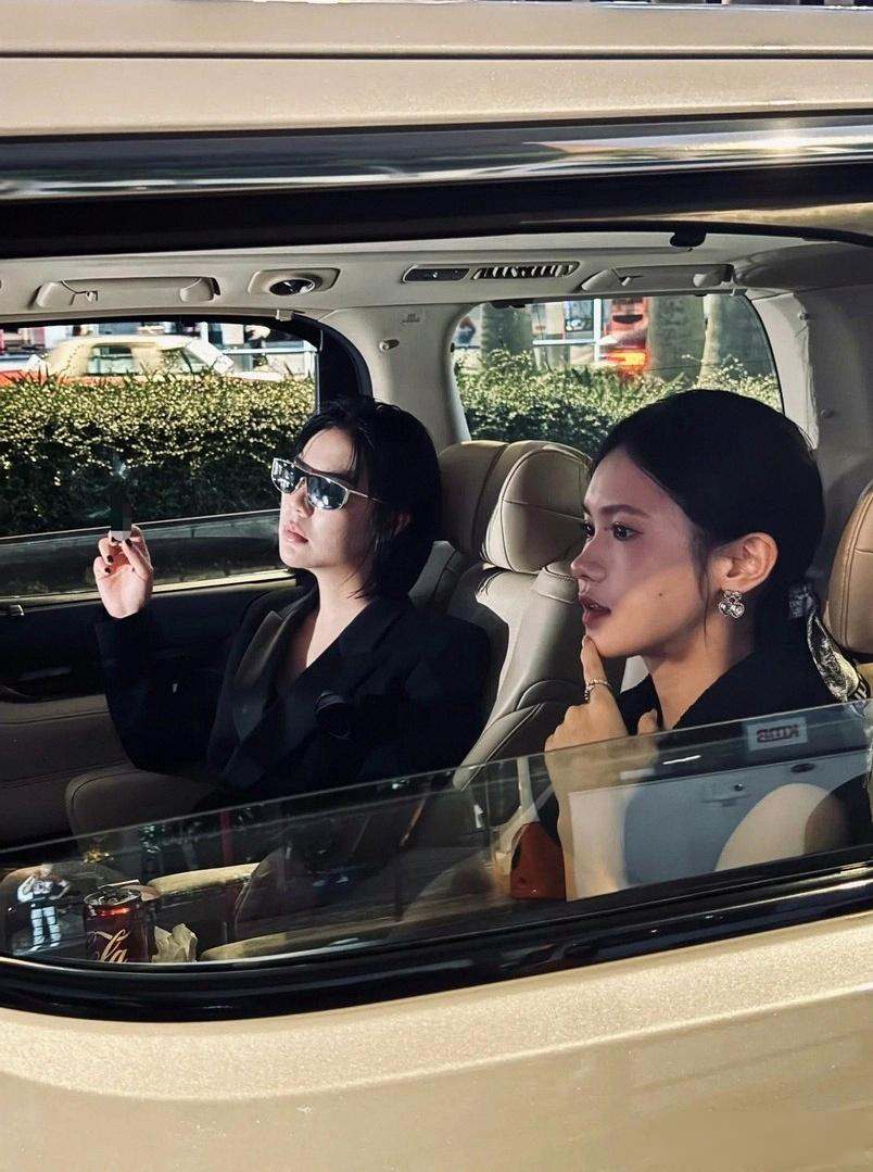 停播一年股权冻结至2027 小杨嫂瘦到98斤换欧美脸 豪旅照旧 婚姻没散