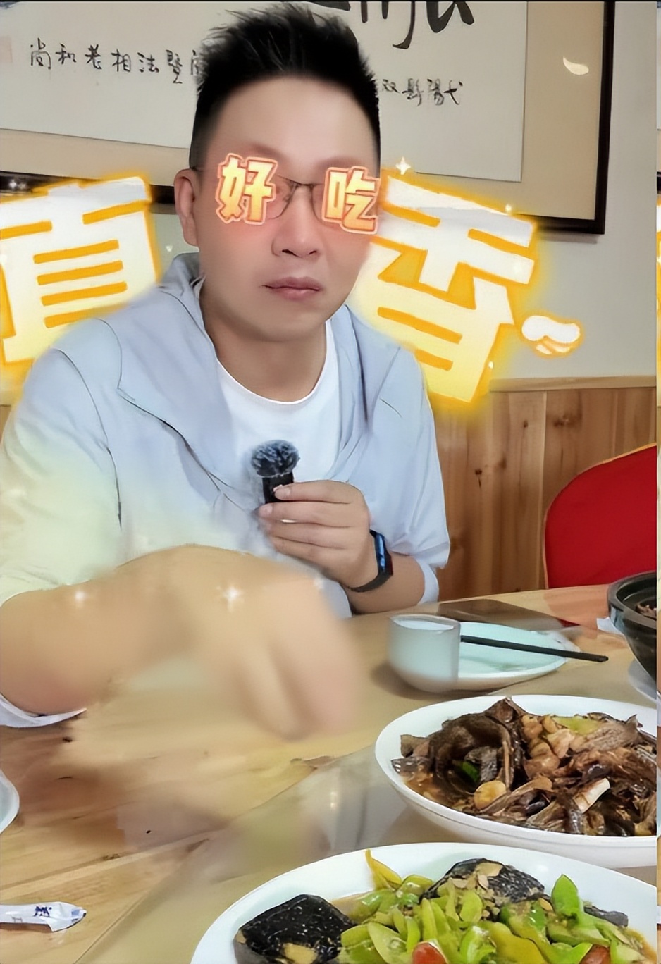 落毛凤凰不如鸡,红极一时的央视主持人林海, 如今下场怪不了别人