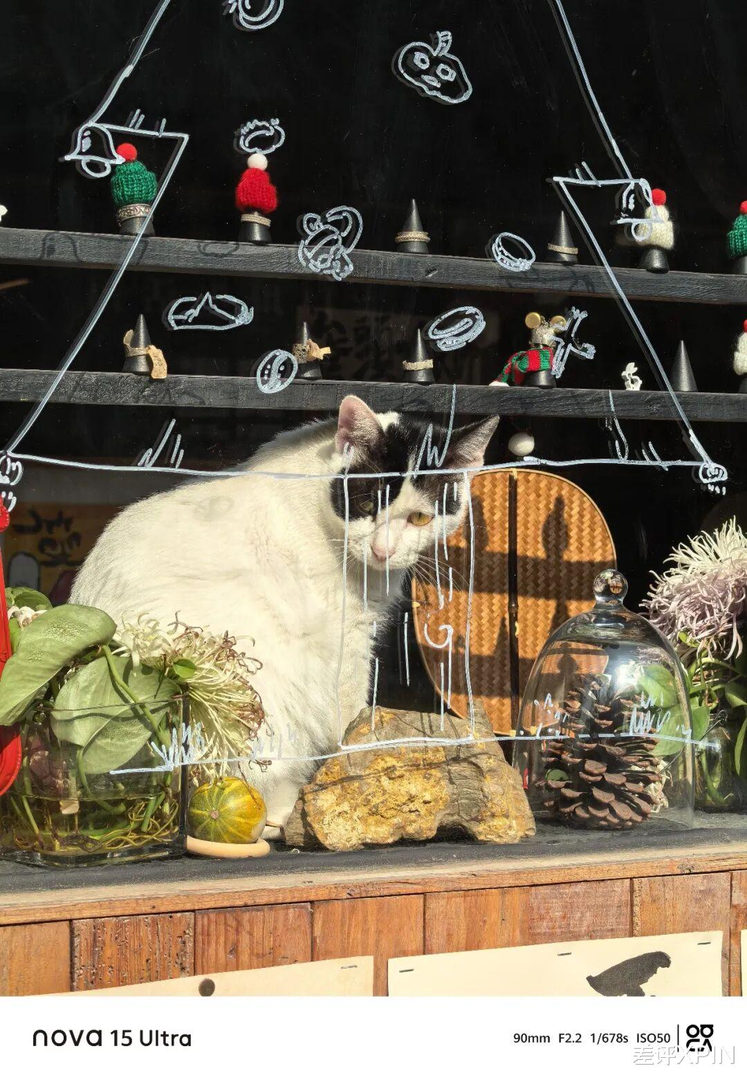 不漲價的華為nova，開始“硬剛”Mate系列了？