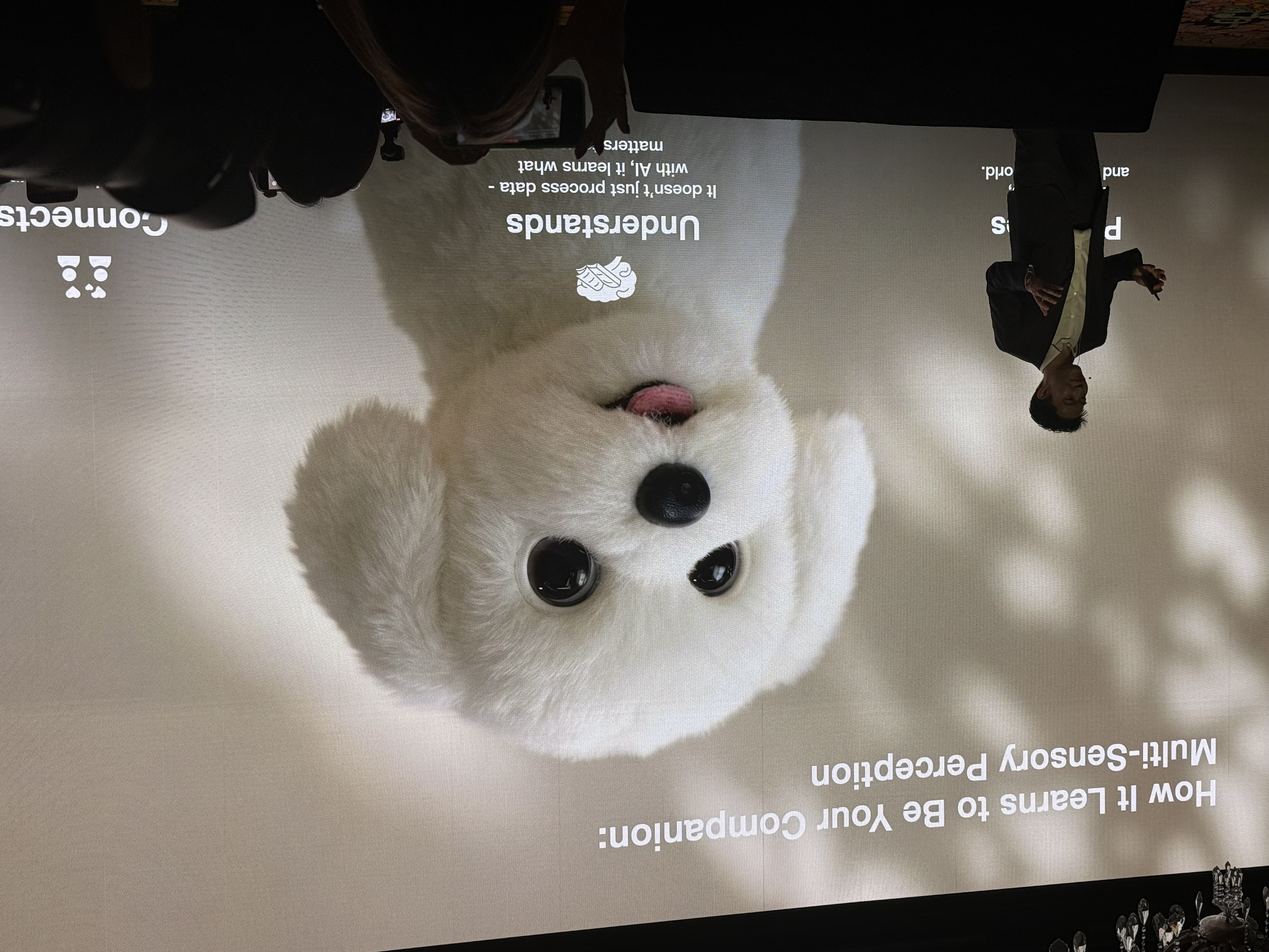 一口氣看完科沃斯 CES2026 新品：地面、窗面、草坪、泳池全覆蓋