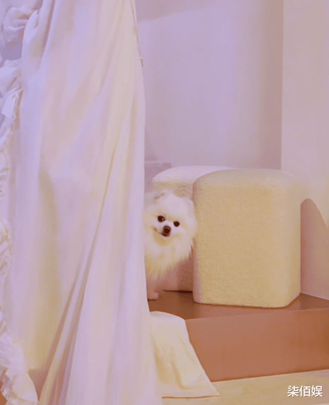 孟鹤堂给孕妻拍照,亲自给她做造型好宠,孟嫂肚子大又圆快生了