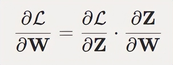 三個月、零基礎手搓一塊TPU，能推理能訓練，還是開源的
