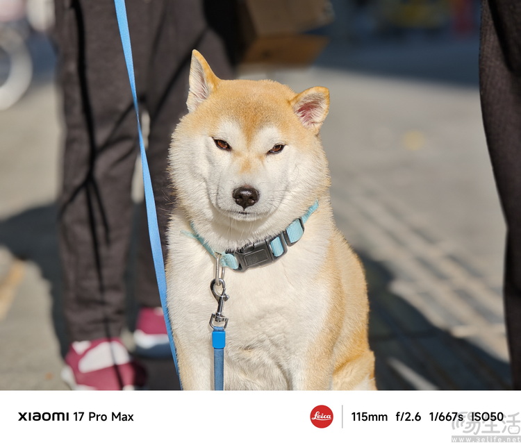 小米17 Pro Max評測：賣得更好不只是因為“大”