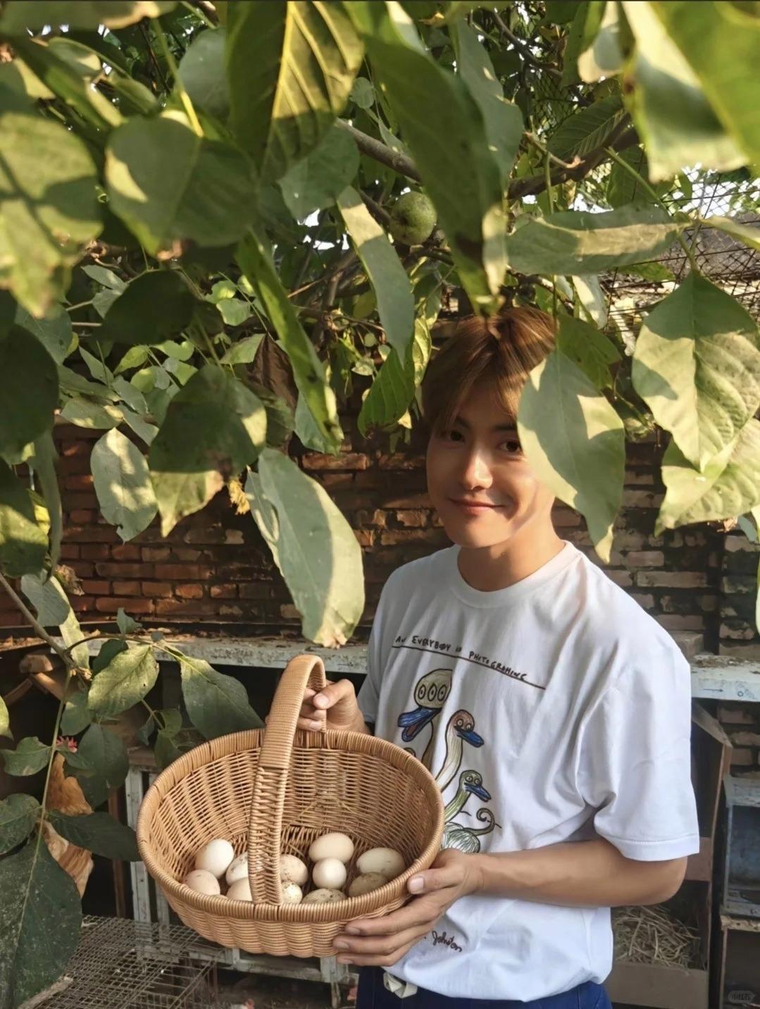 马天宇的院子又火了，仅一菜园、鸡舍就圈粉百万，一看就不是摆拍