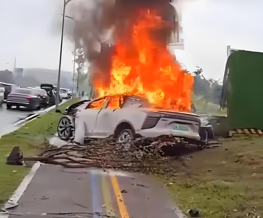 特斯拉又创新了，把开门装置放在B柱，但外面很难看到门把手在哪