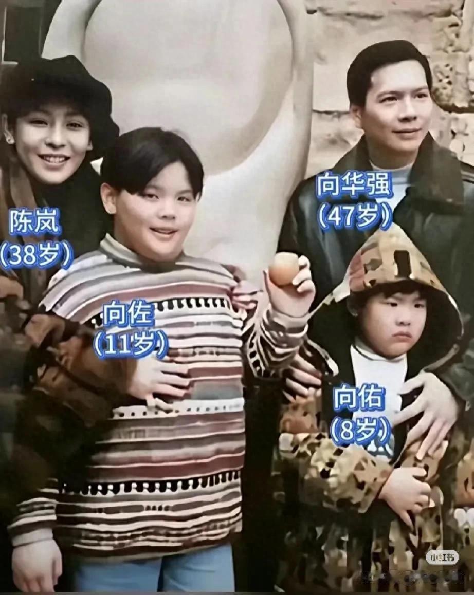 向太二儿子向佑在海南旅行!38岁向佑体型肥胖,长得特像妈妈向太