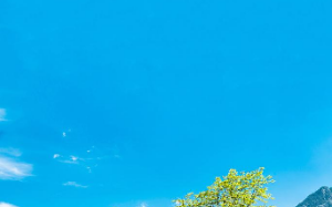 我替领导背黑锅丢了老婆