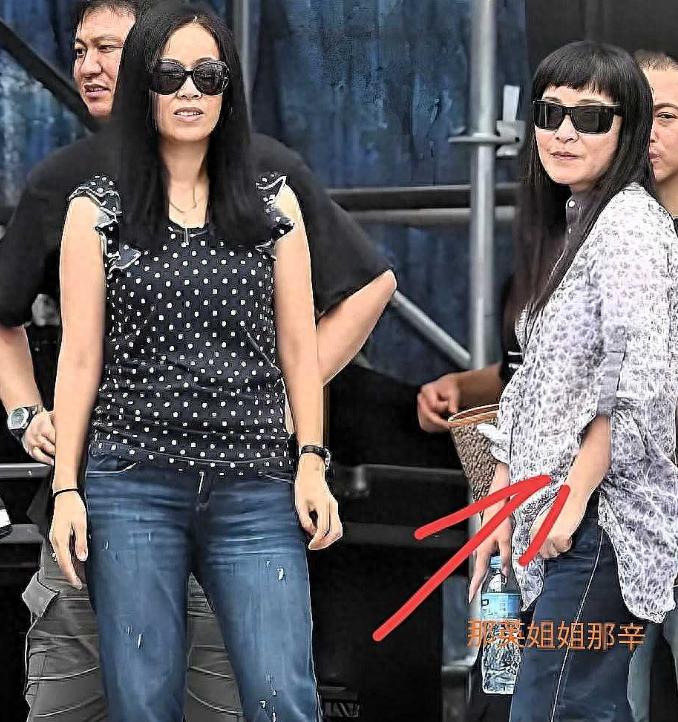 那英57岁婚变风波?亲姐出手砍断丈夫财路,姐姐那辛才是真大佬!