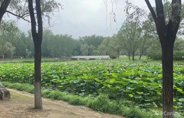 白天高清、夜晚無光無網也全彩，創維小湃極黑光攝像頭Z5G實測
