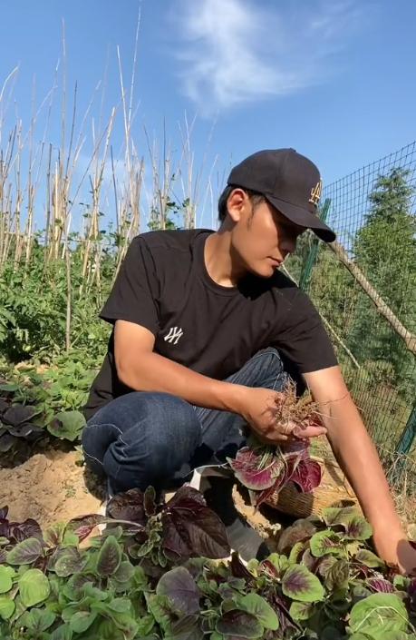 知名男演员揭“内娱黑幕”，被换角还遭导演威胁，养鸡比拍戏快乐