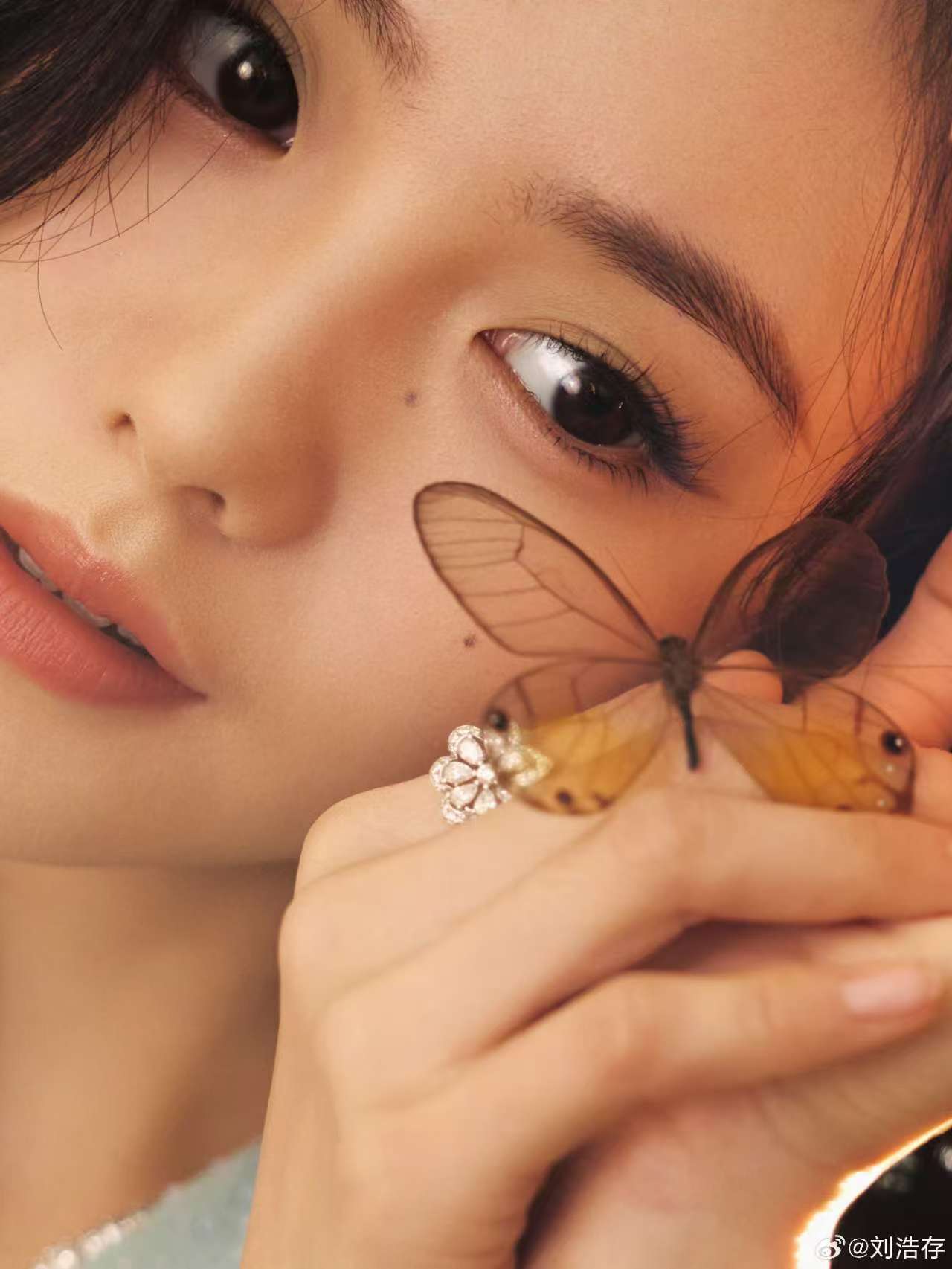 【花开蝴蝶，指尖托起一抹透明的梦】——刘浩存