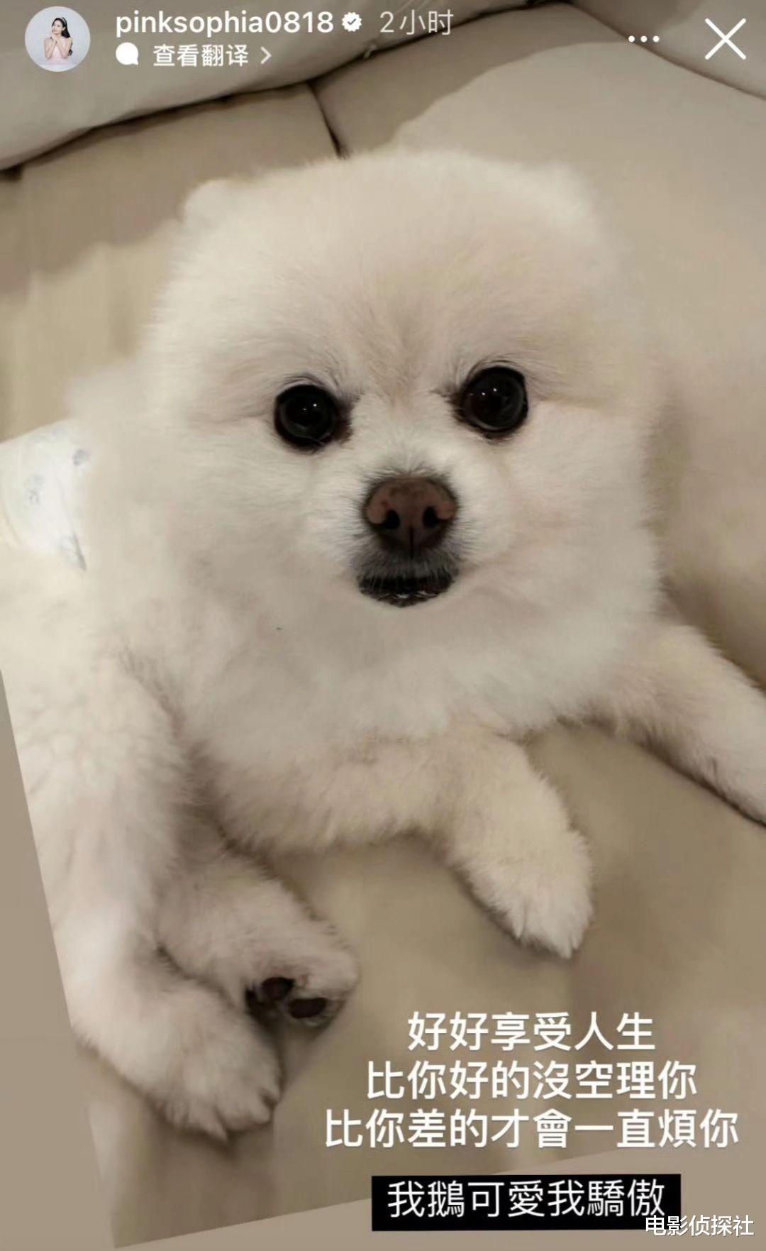 台媒曝王思佳被骗,婚后才知道老公是司机,家庭开销她一人扛