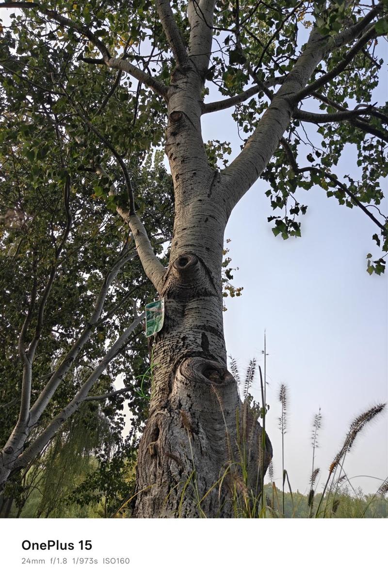 性能至上！ 一加 15評測：風馳游戲內核賦能 第五代驍龍8至尊版釋放極致戰力