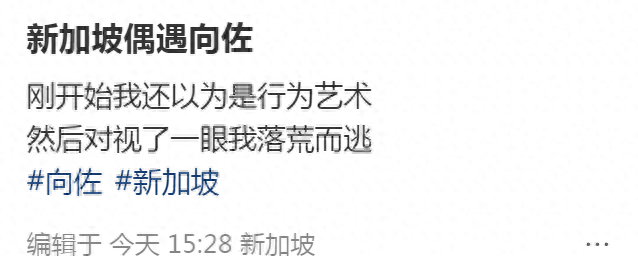 向佐新加坡被偶遇,热天穿羽绒服好怪异,网友:对视一眼落荒而逃