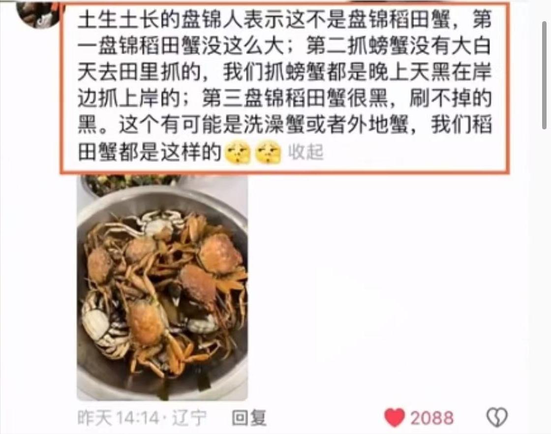 再遭封杀刚8天，国内难翻身的东北雨姐被曝另起灶炉，她能逆袭吗