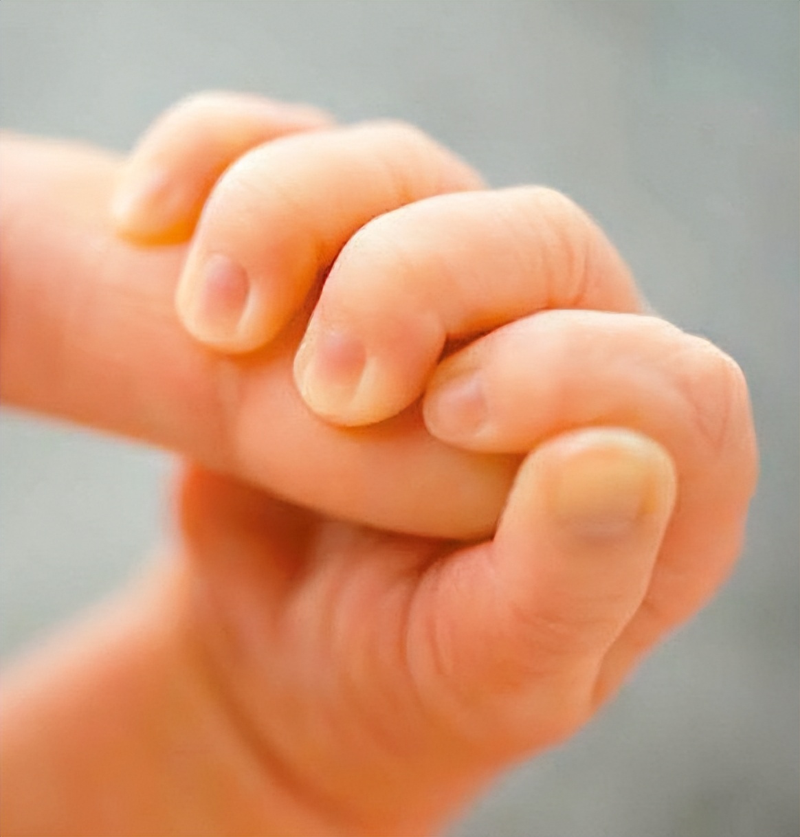 情史不输哥哥谢霆锋，42岁未婚生二胎的谢婷婷，彻底撕碎谢贤体面