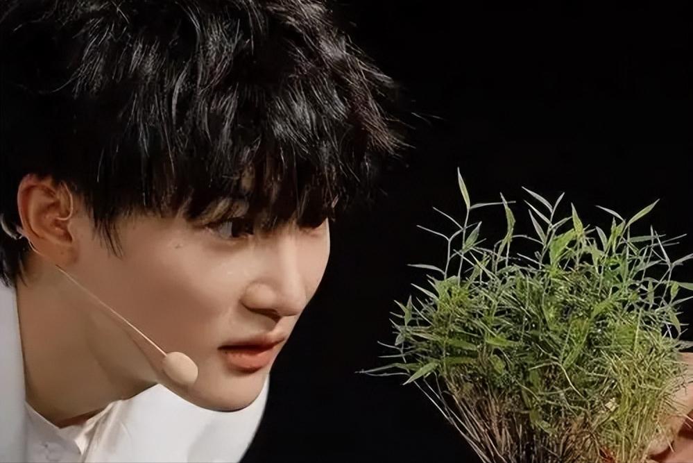 演都不演了?被央视点名仅3天,周深走上大衣哥老路,韩红没说谎