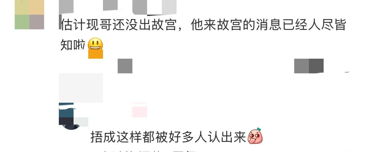 李现一身黑色穿搭,包裹严实化身摄影师,在故宫拍初雪被认了出来