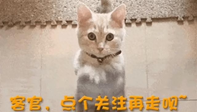 唐嫣罗晋葬礼后同归，本以为是破冰，一个细节却暴露了真实关系