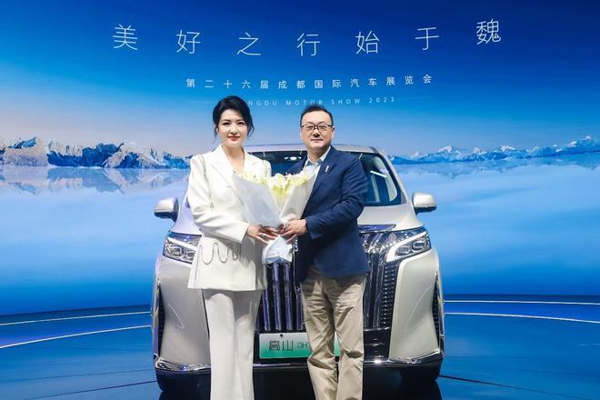 被忽视的豪华“头等舱”，从40万降到26万多，明挑埃尔法，实戳腾势D9