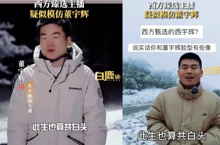 “疯狂小杨哥”复出遇山寨大军:一场直播江湖的魔幻现实