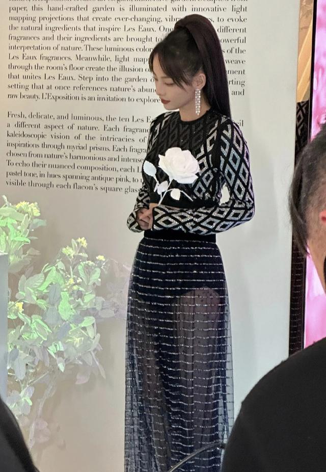 张嘉倪黑纱轻透礼裙，A4腰+星河裙摆，若隐若现刚刚好