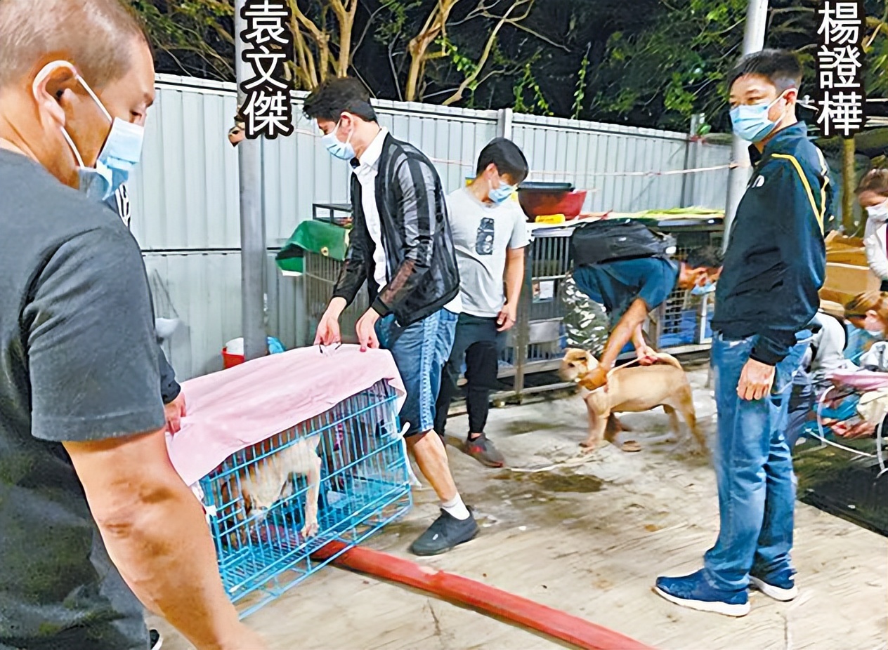 九成九幕后都喜欢的艺人！TVB经典绿叶获公开力赞：人好到不得了