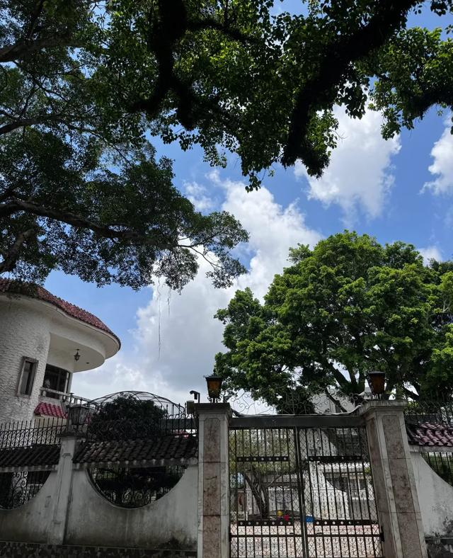 何超莲庆 34 岁生日！三房大合体，陈婉珍状态好，豪宅窗外风景吸睛