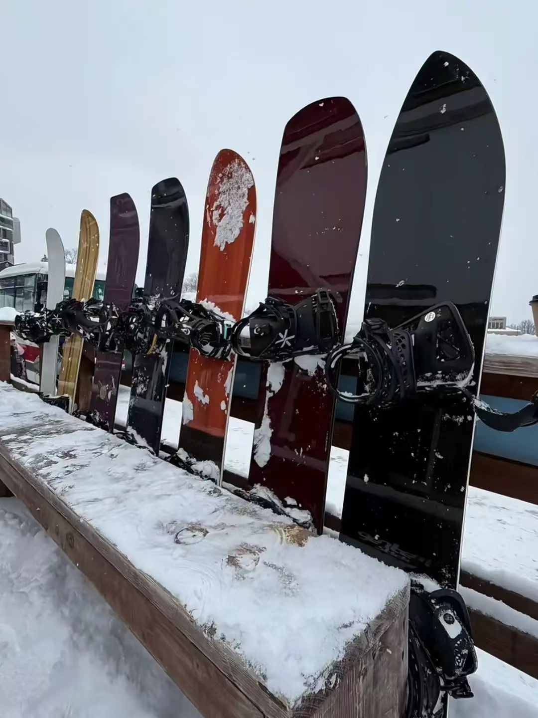 刘嘉玲组团滑雪！王菲带李嫣现身，冯德伦也在，9人同行喝酒庆祝
