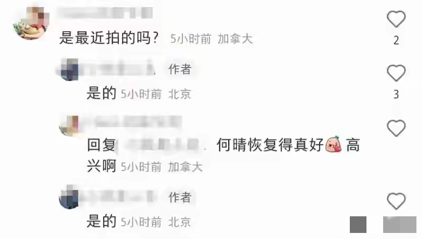 突发 演员何晴去世 生前最后的照片曝光 儿子已托给前夫现任照顾