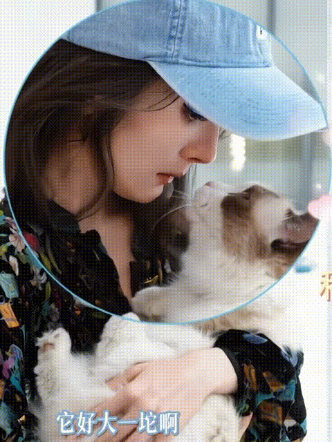 杨幂抱着布偶猫,对视很有爱,她穿斐乐球衣很少女,又被她美到了