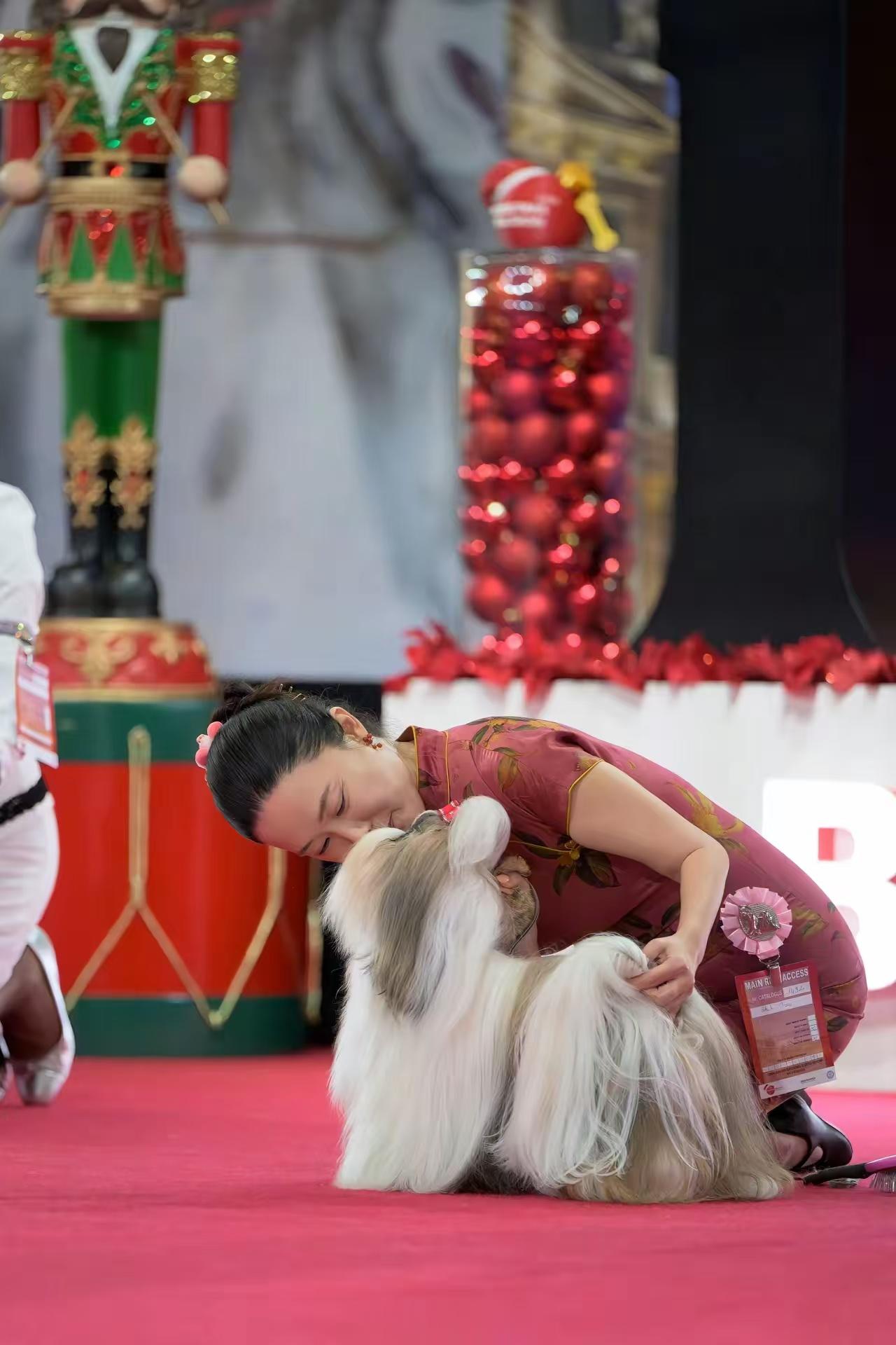 霍思燕身穿红旗袍惊艳欧洲！带爱犬为国夺冠，唯一的中国队