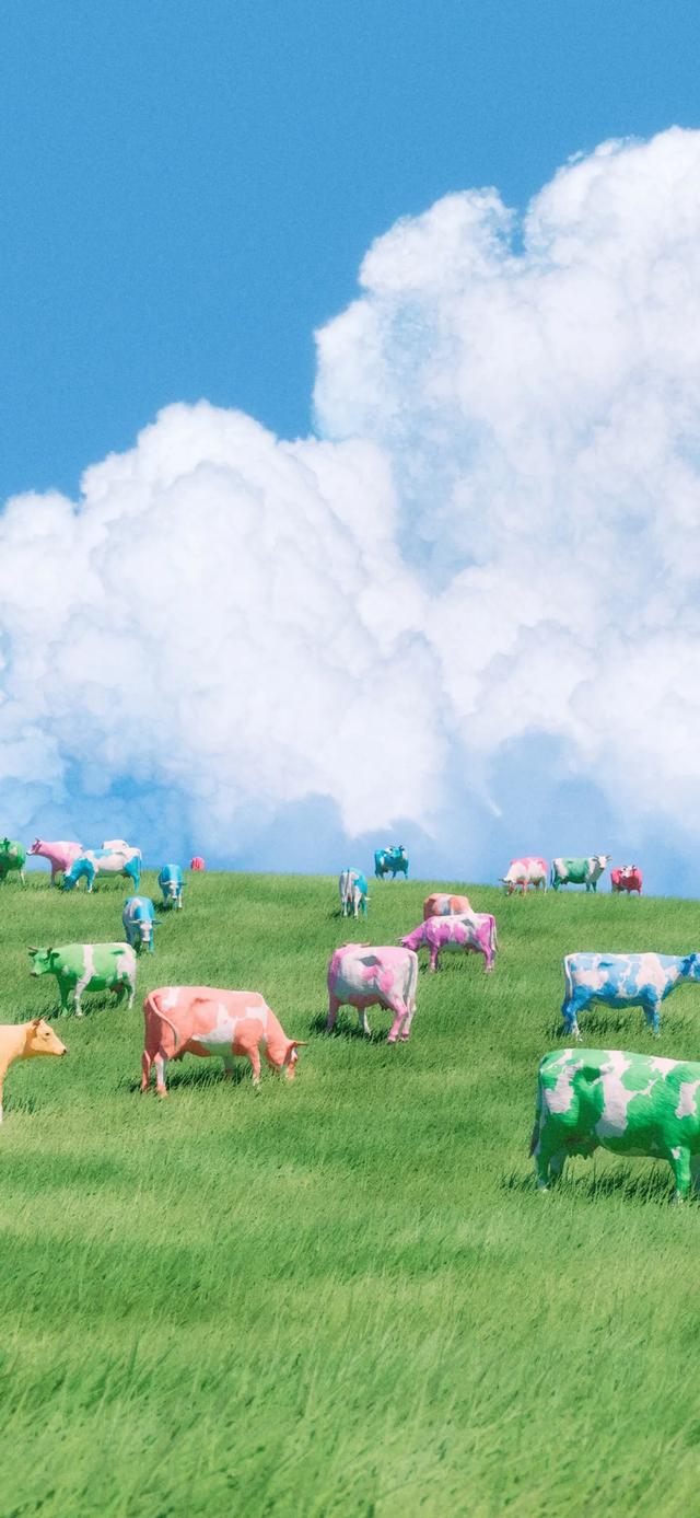 \uD835\uDDEA\uD835\uDDD4\uD835\uDDDF\uD835\uDDDF\uD835\uDDE3\uD835\uDDD4\uD835\uDDE3\uD835\uDDD8\uD835\uDDE5 | iPhone 全屏壁紙9張