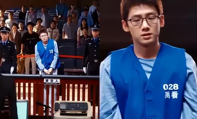 16集悬疑大剧！白敬亭、高叶、张鲁一强强联手，烧脑剧情停不下来