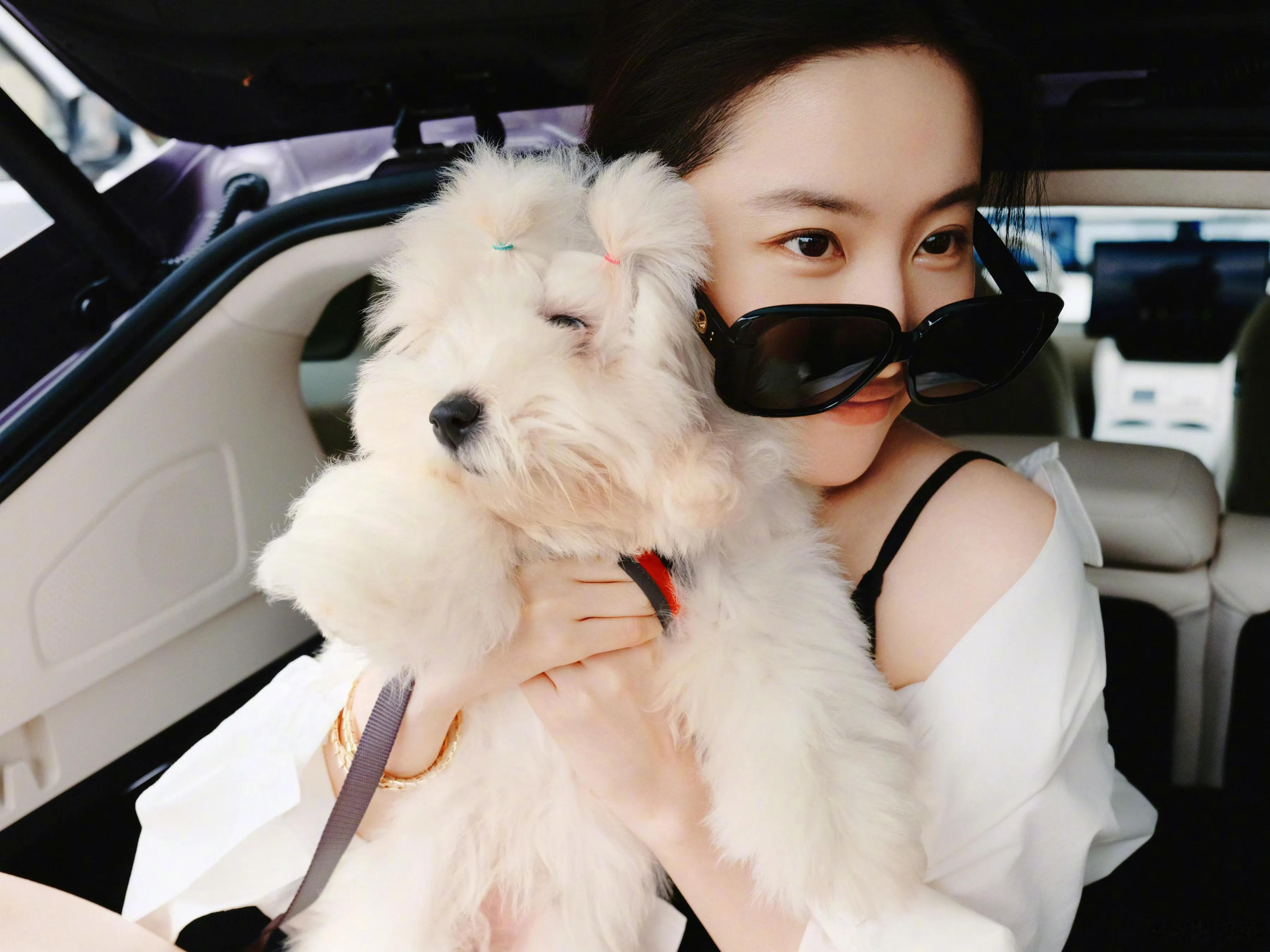 刘亦菲:随便一张日常照都能拍出大片的感觉。