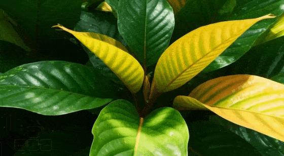 谷歌深夜放出「創世引擎」Genie 3，一句話秒生宇宙，終極模擬器覺醒