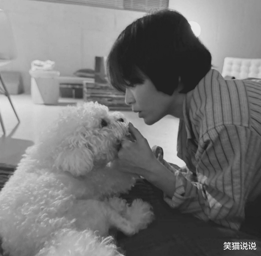 宋慧乔晒回家后第一波照片：拥抱爱犬好温馨，亲吻Ruby好宠溺