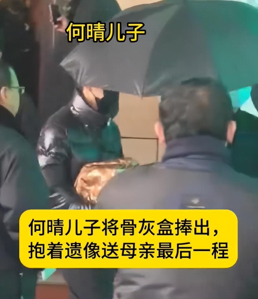 何晴葬礼结束！儿子深情追忆发言惹人泪，手捧骨灰送母亲最后一程