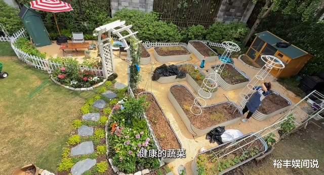 郑恺妻子苗苗好完美!用3个月打造菜园,亲自种菜养鸡发酵鸡屎