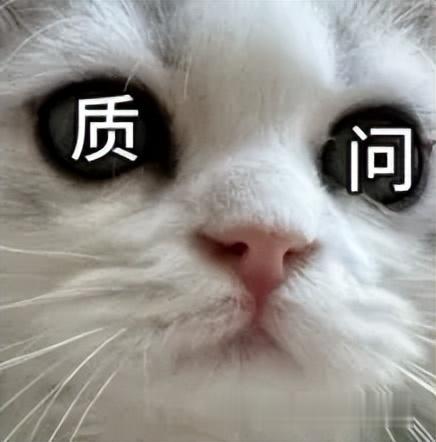 OpenAI奧特曼認錯：我天生不適合管理公司