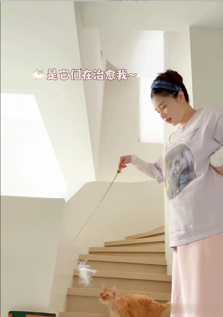 阚清子挺大肚晒上海豪宅，三层别墅装修很高级，养5只猫生活惬意