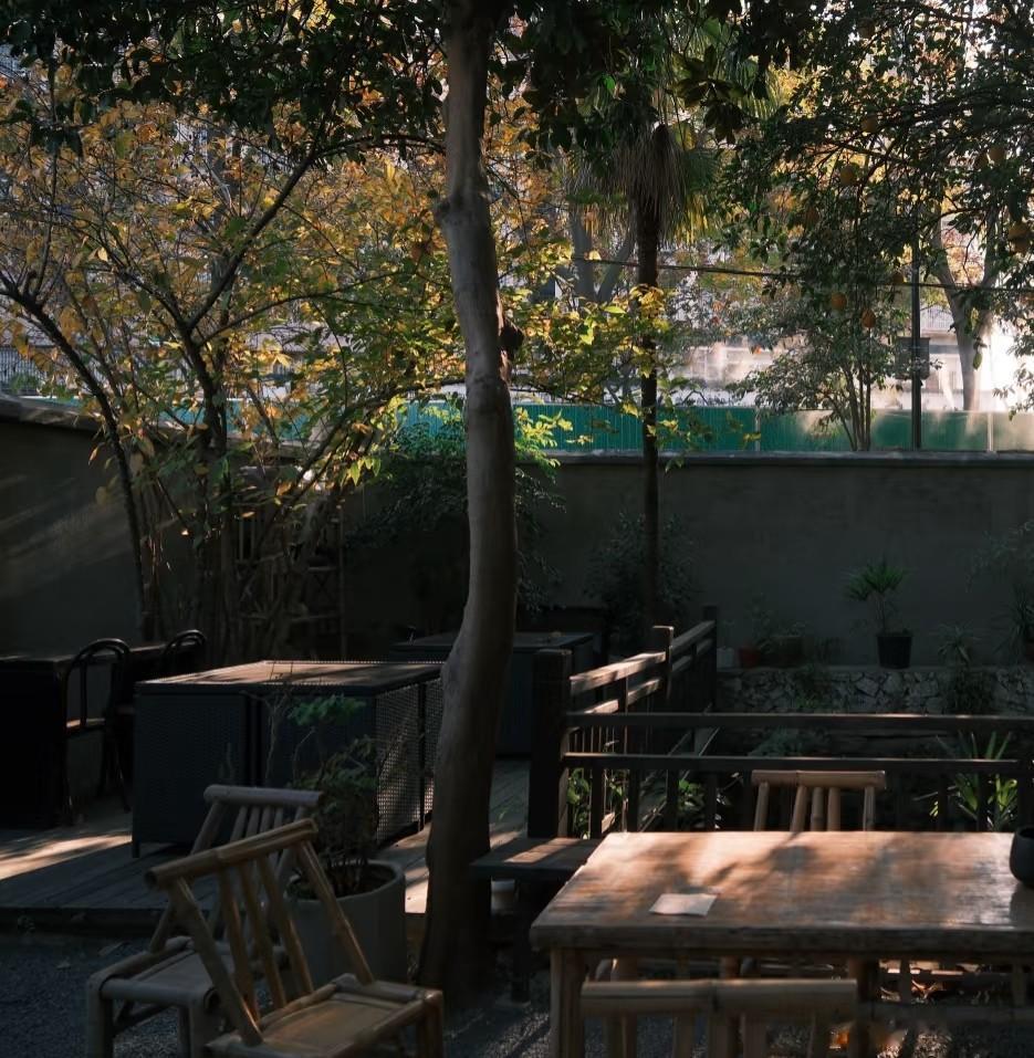 何晴去世后曾住10多年小院曝光，像大户人家!网友:难怪身体出问题