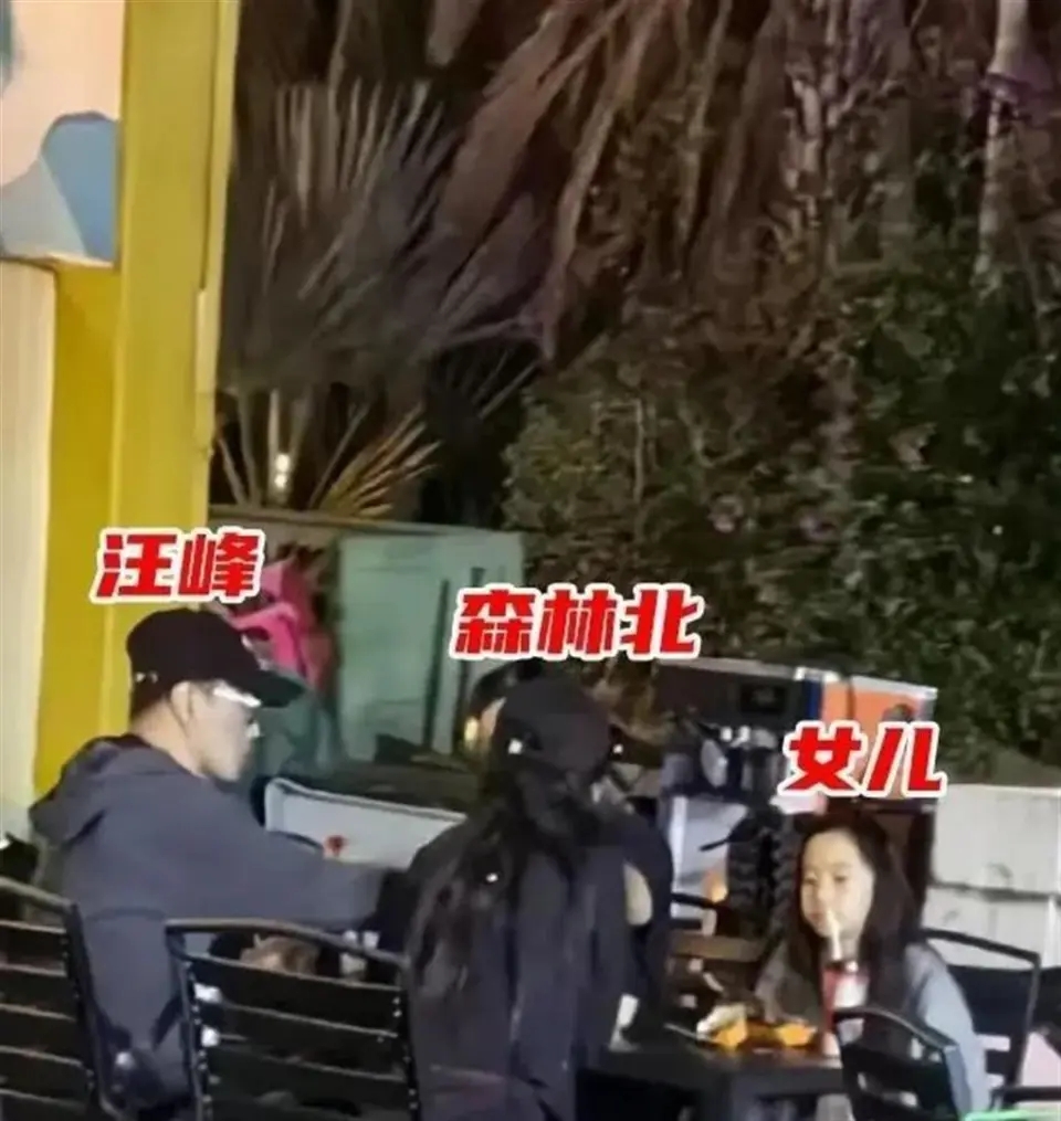 章子怡专心带俩娃玩！陪10岁女儿挑战飞拉达，汪峰陪森林北和继女