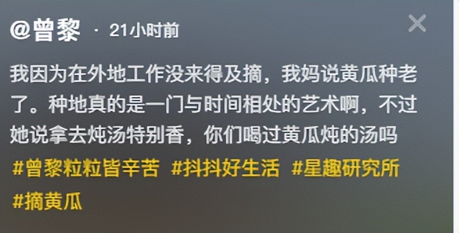 48岁曾黎回老家种地！满脸褶头发花白断崖衰老，徒手摘黄瓜像农妇