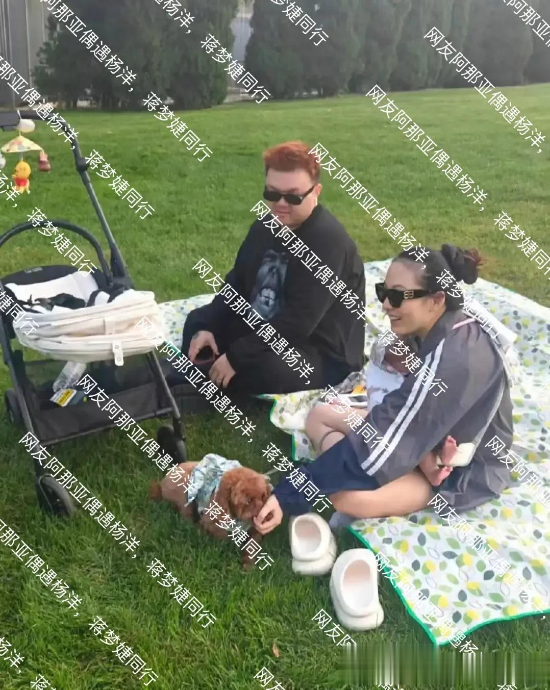 网友阿那亚偶遇杨洋,蒋梦婕同行,两人是好友合作过新版红楼梦